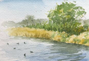 Rule 34 | commentary request, day, landscape, nature, no humans, original, outdoors, painting (medium), real world location, river, scenery, sky, tj (tenjiku200), traditional media, tree, watercolor (medium)