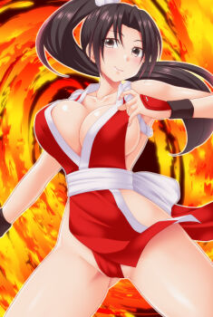 1girl breasts fatal_fury highres large_breasts long_hair shiranui_mai solo