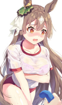 Rule 34 | 1girl, 1other, @ @, absurdres, animal ears, arm under breasts, blush, bra, bra visible through clothes, braid, breasts, brown eyes, brown hair, buruma, collarbone, commentary request, double-parted bangs, ear ornament, gym shirt, gym uniform, hair between eyes, half up braid, highres, holding, holding hose, horse ears, horse girl, horse tail, hose, large breasts, long hair, multicolored hair, open mouth, pink bra, red buruma, satono diamond (umamusume), see-through clothes, see-through shirt, shirt, short sleeves, simple background, solo focus, streaked hair, tail, tracen training uniform, umamusume, underwear, very long hair, water, wet, wet clothes, wet shirt, white background, white shirt, yoru usagi