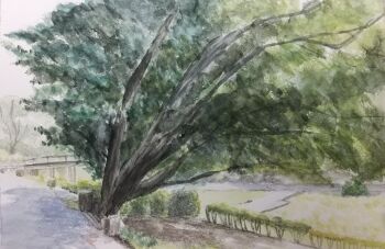 blue_sky bridge bush commentary day harusa1107 highres no_humans original outdoors painting_(medium) plant scenery shadow sky sunlight symbol-only_commentary traditional_media tree watercolor_(medium)