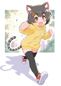 1girl :d animal_ears black_thighhighs cat_ears cat_girl cat_tail clenched_hands fang full_body grey_hair hair_ornament highres hood hood_down hoodie leaf_hair_ornament long_sleeves looking_at_viewer no_pants open_mouth original red_shoes running shoes short_hair smile striped_tail tail takamaru_(minamimachi_seisakusho) thick_eyebrows thighhighs yellow_hoodie