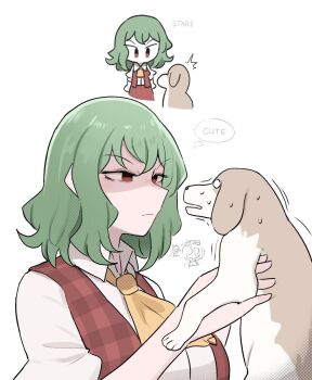 3girls animal ascot chibi chibi_inset closed_mouth commentary dog english_commentary english_text green_hair highres holding holding_animal holding_dog kazami_yuuka mata_(matasoup) medicine_melancholy multiple_girls red_eyes red_vest short_hair simple_background solo_focus speech_bubble su-san sweat thought_bubble touhou v-shaped_eyebrows vest white_background yellow_ascot