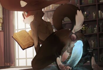 1boy 2021 after_anal animal_ears artist_name ass barefoot body_fur book brown_fur brown_hat cat_boy cat_ears cat_tail closed_mouth dildo frown furry furry_male glasses hat highres looking_at_viewer looking_back open_book original penis pita-potato round_eyewear sex_toy shelf solo tail testicles window witch_hat ych_commission