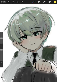 Rule 34 | 16personalities, 1boy, advocate (16personalities), art program in frame, black necktie, black pants, closed mouth, collared shirt, commentary, green eyes, green hair, green sweater vest, grey shirt, hand on own face, highres, light blush, light smile, looking at viewer, male focus, necktie, pants, procreate (software), sanni (spsb001), screencap, shirt, short hair, sketch, squatting, sweater vest