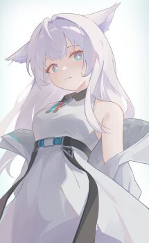 1girl absurdres animal_ears arknights arknights:_endfield bare_shoulders blush commentary_request dress gradient_background highres jacket long_hair looking_at_viewer off_shoulder open_clothes open_jacket perlica_(arknights) simple_background sleeveless sleeveless_dress solo user_18474136 white_background white_dress white_hair