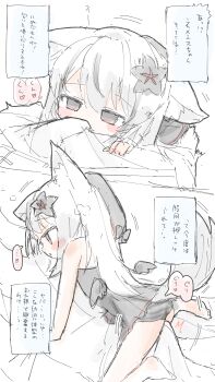 1boy 1girl absurdres animal_ears blush_stickers bulge commentary_request flower fox_ears fox_girl fox_tail grey_eyes hair_flower hair_ornament highres iya4160 loli low_wings nemesis_(vrchat) simple_background sitting sitting_on_person sketch speech_bubble tail translation_request vrchat white_background white_hair wings