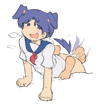 1boy 1girl amakazari_eri animal_ears azuredairy bed_sheet blue_eyes blue_hair blush breath city_(arawi_keiichi) clenched_hands cum disembodied_hand disembodied_penis dog_ears dog_tail doggystyle drooling kemonomimi_mode looking_to_the_side open_mouth penis school_uniform serafuku sex sex_from_behind short_hair simple_background solo_focus tail tail_wagging very_short_hair white_background white_serafuku