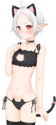 Rule 34 | 1girl, ahoge, animal ears, bell, black bra, black choker, black panties, black thighhighs, blush, bra, breasts, cat cutout, cat ear panties, cat ears, cat lingerie, cat tail, choker, cleavage cutout, closed mouth, clothing cutout, collarbone, commentary request, ear blush, forehead, frilled bra, frills, grey hair, groin, hand up, highres, hijouguti, jingle bell, meme attire, mushoku tensei, navel, neck bell, panties, parted bangs, pointy ears, red eyes, side-tie panties, simple background, small breasts, solo, sylphiette (mushoku tensei), tail, thighhighs, underwear, underwear only, white background