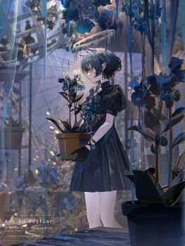 Rule 34 | 1girl, black dress, black gloves, black hair, blue flower, bob cut, commentary, dress, earrings, english commentary, expressionless, fcjfior, flower, from side, garden, gloves, halo, high-waist dress, highres, holding, hololive, hololive english, indoors, jewelry, meconopsis (ninomae ina'nis), ninomae ina'nis, plant, pleated dress, pointy ears, potted plant, puffy short sleeves, puffy sleeves, short dress, short hair, short sleeves, solo, virtual youtuber