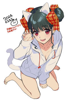 1girl animal_ears black_hair breasts cat_ears cat_tail claw_pose commentary_request double_bun doukyuusei_(series) doukyuusei_2 full_body hair_bun highres looking_at_viewer naked_shirt narusawa_yui red_eyes shirt sitting small_breasts solo sumeragi_kohaku tail wariza