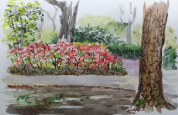 absurdres bush commentary_request day flower harusa1107 highres no_humans original painting_(medium) park path plant red_flower road scenery sketch traditional_media tree unfinished watercolor_(medium)
