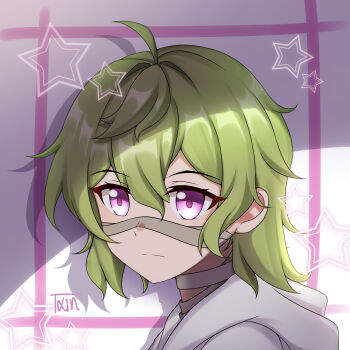 1girl absurdres ahoge closed_mouth collei_(genshin_impact) collei_(young)_(genshin_impact) commentary_request from_side genshin_impact green_hair hair_between_eyes highres hood hood_down looking_to_the_side portrait purple_eyes signature solo star_(symbol) txin_xin