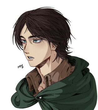 Rule 34 | 1boy, black hair, blue eyes, brown jacket, cape, commentary request, eren yeager, green cape, highres, jacket, korean commentary, male focus, o0 n0 aot 921, open mouth, shingeki no kyojin, short hair, simple background, solo, teeth, white background