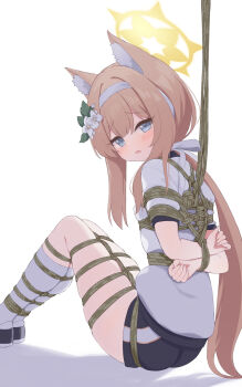 1girl animal_ear_fluff animal_ears arms_behind_back ass bdsm between_breasts blue_archive blue_shorts blush_stickers bondage bonnet bound bound_arms bound_breasts bound_legs bound_torso breasts cat_ears clenched_hand embarrassed feet_out_of_frame female_focus flower gym_shirt gym_uniform hair_flower hair_ornament hair_ribbon halo hamuta_(machosbrown) highres kneehighs loli mari_(blue_archive) mari_(track)_(blue_archive) nervous official_alternate_costume open_mouth puffy_short_sleeves puffy_sleeves ribbon rope shadow shibari shibari_over_clothes shirt shoes short_sleeves shorts sidelocks simple_background small_breasts socks solo sweat sweatdrop tongue white_background white_ribbon white_shirt white_socks yellow_halo
