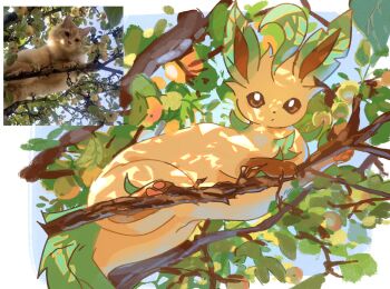 Rule 34 | brown eyes, cat, from below, gen 4 pokemon, highres, leaf, leafeon, looking at viewer, looking down, nintendo, no humans, photo-referenced, photo inset, pokemon, pokemon (creature), seta629211