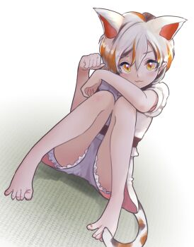 1girl :3 animal_ears barefoot calico_(pattern) cat_ears cat_girl cat_tail closed_mouth commentary_request frilled_shorts frills gesture goutokuji_mike highres lily-an maneki-neko multicolored_hair multicolored_shirt multicolored_shorts multicolored_tail nail_polish orange_eyes patch patchwork_clothes paw_pose short_hair shorts sitting smile spread_toes streaked_hair tail toes touhou white_hair