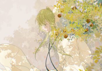 1other androgynous branch chinese_commentary commentary_request enkidu_(fate) fate/grand_order fate_(series) food fruit green_eyes green_hair hair_between_eyes highres hood hood_up hooded_robe long_hair other_focus profile robe sili5291 solo upper_body white_robe