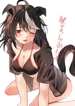1girl a_o_1016 absurdres animal_ears bikini black_bikini black_hair black_jacket blush breasts cleavage commentary_request hair_between_eyes highres horse_ears horse_girl horse_tail jacket kitasan_black_(umamusume) large_breasts multicolored_hair one_eye_closed open_clothes open_jacket open_mouth red_eyes short_hair simple_background sitting solo streaked_hair swimsuit tail thighs translation_request umamusume wariza wet wet_clothes wet_hair white_background white_streaks