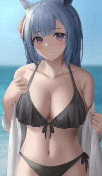 1girl absurdres animal_ears bare_shoulders bikini black_bikini blue_hair blunt_bangs blurry blurry_background blush braid breasts cleavage closed_eyes closed_mouth collarbone cowboy_shot crown_braid depth_of_field front-tie_bikini_top front-tie_top hibimaru highres horse_ears large_breasts long_hair long_sleeves looking_at_viewer mejiro_ardan_(umamusume) navel ocean open_clothes open_shirt purple_eyes side-tie_bikini_bottom smile solo stomach swimsuit umamusume undressing very_long_hair water