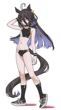 1girl ahoge alternate_costume animal_ears black_hair black_shoes black_sports_bra blue_hair breasts commentary full_body hair_between_eyes highres horse_ears horse_girl horse_tail long_hair looking_at_viewer manhattan_cafe_(umamusume) multicolored_hair navel sarcophage shoes simple_background small_breasts sneakers sports_bra stomach streaked_hair tail two-tone_hair umamusume white_background white_hair yellow_eyes