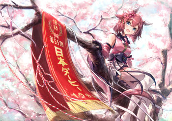 1girl absurdres animal_ears black_gloves blue_eyes blush breasts cherry_blossoms commentary_request detached_sleeves ear_covers ear_ornament fingerless_gloves flower gloves hair_between_eyes hair_flaps hair_flower hair_ornament highres horse_ears horse_girl horse_tail looking_at_viewer medium_hair on_tree open_mouth pink_hair pink_shirt pink_sleeves sakura_chiyono_o_(hinoshita_kaisan_hana_akari)_(umamusume) sakura_chiyono_o_(umamusume) sarasuty shirt sitting skirt smile solo tail thighhighs tokyo_yushun tree umamusume white_skirt white_thighhighs