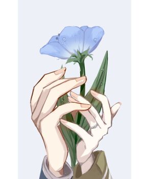 1boy 1girl bai_mei blue_gloves blue_jacket border couple flower frieren gloves gold_trim grey_background hand_focus hashtag-only_commentary hetero highres himmel_(sousou_no_frieren) holding holding_flower jacket jewelry pillarboxed ring sousou_no_frieren water_drop white_border white_jacket white_trim