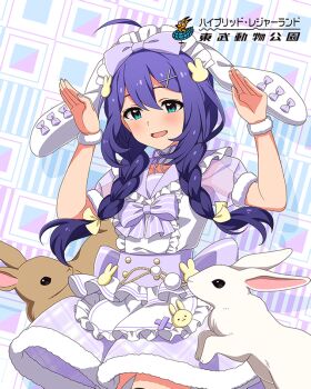 1girl ahoge animal_ears apron blue_eyes bow braid buttons card_(medium) fur_trim game_cg hair_ornament hairclip idolmaster idolmaster_million_live! idolmaster_million_live!_theater_days japanese_text low_twin_braids mochizuki_anna nail_polish official_art open_mouth rabbit rabbit_pose see-through_clothes see-through_sleeves twin_braids
