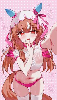 1girl absurdres animal_ears arm_up blush breasts brown_hair brown_tail buruma ear_covers gym_shirt hair_ribbon heart highres horse_ears horse_girl horse_tail long_hair looking_at_viewer medium_breasts multicolored_hair navel open_mouth outstretched_arm pink_background pink_buruma pink_ribbon polka_dot polka_dot_background red_eyes ribbon shirt short_sleeves skindentation smile still_in_love_(umamusume) stomach streaked_hair tail tandohark teeth thighhighs thighs umamusume upper_teeth_only v v_over_mouth veil white_shirt white_streaks white_thighhighs white_veil