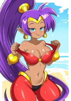 Rule 34 | 1girl, :p, absurdres, bare shoulders, beach, blue eyes, blue sky, border, bracer, breasts, cleavage, commentary, cowboy shot, dark-skinned female, dark skin, day, earrings, english commentary, harem outfit, harem pants, highres, jewelry, large breasts, long hair, navel, outdoors, outside border, pants, pointy ears, ponytail, purple hair, shantae, shantae (series), sky, solo, stomach, theoiledone, tongue, tongue out, very long hair, wet, white border