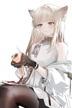 Rule 34 | 1girl, absurdres, animal ears, apple, arknights, arknights: endfield, backlighting, bare shoulders, bird ears, black gloves, black pantyhose, blue eyes, commentary, dress, food, fruit, gloves, grey hair, head wings, highres, holding, holding food, holding fruit, holding knife, jacket, knife, long hair, looking down, off shoulder, open clothes, open jacket, pantyhose, peeling, perlica (arknights), sidelocks, simple background, solo, sowb, white background, white dress, white jacket, wings