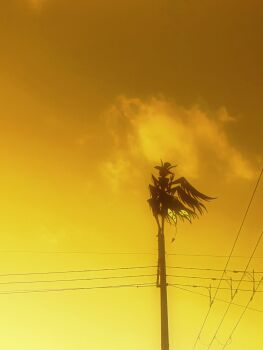 1boy cloud commentary_request extra_eyes hand_up hat hazbin_hotel hellaverse high_heels highres horns lucifer_morningstar_(hazbin_hotel) mebi_(mb_hzbn) multiple_wings red_eyes sky solo standing top_hat utility_pole wings yellow_sky