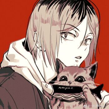 1boy animal blonde_hair cat haikyuu!! hashtag-only_commentary highres hood hood_down hoodie kozume_kenma looking_at_viewer male_focus momoyoru1 multicolored_hair parted_lips red_background roots_(hair) short_hair teeth two-tone_hair watermark weibo_watermark