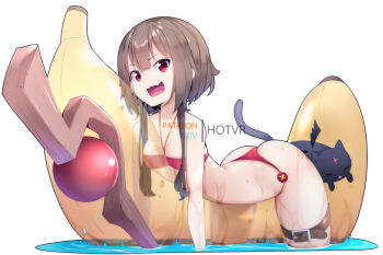 1girl 1other animal_ears arched_back artist_name ass banana bare_shoulders bikini black_cat breast_press breasts bright_pupils brown_hair buttons cat cat_ears cat_tail chomusuke closed_eyes cowboy_shot cowgirl_position english_text fang floating floating_object food fruit hair_between_eyes hot_vr inflatable_toy kono_subarashii_sekai_ni_shukufuku_wo! megumin open_mouth paid_reward_available patreon_username petite phallic_symbol pixiv_username red_bikini red_eyes riding sexually_suggestive short_hair short_hair_with_long_locks simple_background small_breasts spread_legs staff straddling summer swimsuit tail tongue water wet white_background