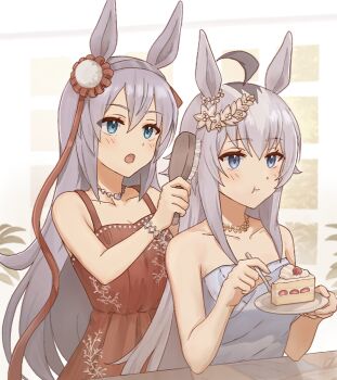 2girls ahoge animal_ears bare_shoulders blue_eyes blush bracelet breasts brushing_another&#039;s_hair brushing_hair cake cake_slice closed_mouth collarbone dress ear_ornament eating food fork grey_dress grey_hair grey_hairband hair_between_eyes hair_brush hair_ornament hairband headband highres holding holding_fork holding_hair_brush holding_plate horse_ears horse_girl jewelry long_hair multiple_girls necklace oguri_cap_(umamusume) open_mouth plate red_dress sleeveless sleeveless_dress smile strapless strapless_dress taa_in1 tamamo_cross_(umamusume) umamusume umamusume:_cinderella_gray very_long_hair