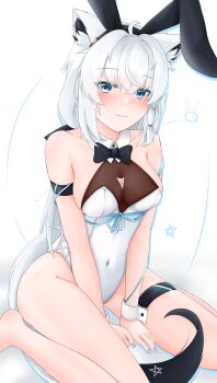 1girl absurdres ahoge animal_ear_fluff animal_ear_hairband animal_ears arm_strap bare_legs black_bow black_bowtie blue_eyes blue_ribbon blush bow bowtie braid breasts commentary_request detached_collar earrings fake_animal_ears fang fox_ears fox_girl fox_tail hair_between_eyes hairband highres hololive jewelry leotard long_hair looking_at_viewer medium_breasts pentagram playboy_bunny rabbit_ear_hairband rabbit_ears ribbon shirakami_fubuki sidelocks simple_background single_braid sitting skin_fang solo st-147 tail thigh_strap virtual_youtuber wariza white_background white_hair white_leotard wrist_cuffs