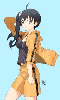 1girl :o ahoge araragi_karen arm_behind_head artist_name black_hair black_shirt black_trim blue_background breasts brown_eyes cleavage clenched_hand commentary covered_collarbone covered_erect_nipples cowboy_shot drawstring egg_hair_ornament food-themed_hair_ornament fried_egg from_side hair_between_eyes hair_flaps hair_ornament highres hood hood_down jacket kikumaru_bunta long_hair long_sleeves looking_at_viewer looking_to_the_side making-of_available medium_breasts midriff_peek monogatari_(series) nisemonogatari open_clothes open_jacket open_mouth shirt shorts side_ponytail signature simple_background single_vertical_stripe solo track_jacket translated walking wind wind_lift yellow_jacket yellow_shorts