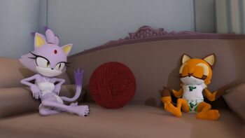 2girls 3d blaze_the_cat crop_top feet furry highres jewelry marine_the_raccoon multiple_girls necklace ponytail sega shirt skirt sonic_(series) underwear viewportnorm