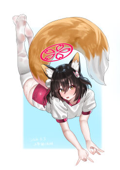 1girl absurdres animal_ears ass blue_archive blush braid brown_eyes brown_hair commentary_request fox_ears fox_tail gym_shirt gym_shorts hair_between_eyes halo highres izuna_(blue_archive) looking_at_viewer lying medium_hair on_stomach open_mouth pink_halo pink_shorts shangdi_de_fa_zhang shirt shorts side_braid solo tail thick_thighs thighhighs thighs white_shirt white_thighhighs