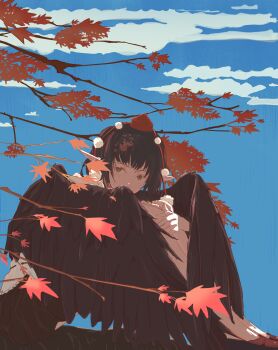 1girl absurdres autumn autumn_leaves black_hair black_skirt black_wings blue_sky cloud day feathered_wings full_body hanashizuku2 hat highres hugging_own_legs in_tree leaf looking_at_viewer nature outdoors pointy_ears pom_pom_(clothes) shameimaru_aya shirt sitting sitting_in_tree skirt sky solo tengu tokin_hat touhou tree white_shirt wings