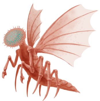 alien call_of_cthulhu commentary_request cthulhu_mythos mi-go mixed-language_commentary monster no_humans simple_background slash_sai_430 solo white_background wings