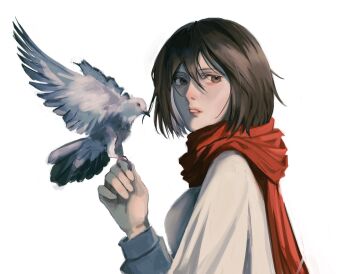 1girl bird bird_on_hand black_hair brown_eyes commentary dove english_commentary eulbhitomi highres long_sleeves looking_at_viewer mikasa_ackerman parted_lips scarf shingeki_no_kyojin short_hair simple_background solo upper_body white_background