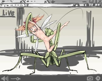 1girl artist_request blush breasts brown_hair bug fairy flat_chest interspecies loli mantis nipples nude peril restrained size_difference small_breasts wings
