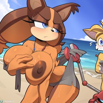 1boy 1girl 2023 absurdres animal_ears artist_name ass badger_ears badger_girl badger_tail beach blue_eyes blush breasts breasts_out brown_fur cooliehigh dark_nipples dark_skin eyelashes female_focus flying_sweatdrops fox_ears fox_tail furry furry_female furry_male gloves grey_shorts half-closed_eyes highres jewelry large_breasts looking_at_viewer looking_back machine male_focus necklace nervous nipples ocean outdoors pulling_another's_clothes sand sega shorts sonic_(series) sonic_boom_(series) sticks_the_badger subscribestar_logo subscribestar_username sweat tail tails_(sonic) thick_thighs thighs water wide_hips yellow_fur