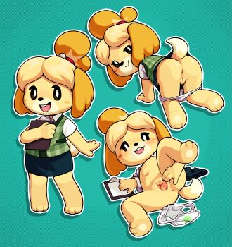 absurdres all_fours animal_crossing anus ass barefoot bell blush clipboard clitoris dog feet furry gato_del_futuro hair_ornament highres isabelle_(animal_crossing) jingle_bell looking_at_viewer looking_back nintendo nude panties panty_pull presenting pussy shih_tzu skirt solo spread_pussy third-party_source underwear undressing unworn_clothes vest yellow_fur