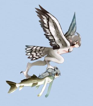 Rule 34 | blue background, flying, harpy, kai himo, mermaid, monster girl, original, photo-referenced, pointy ears, simple background