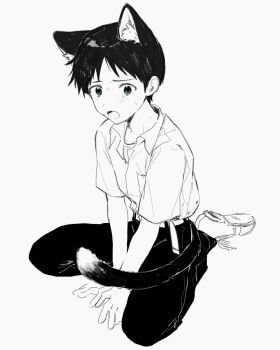 1boy animal_ears arms_between_legs belt blue_eyes blush cat_boy cat_ears cat_tail collared_shirt commentary_request full_body greyscale highres ikari_shinji m3gris3 male_focus monochrome neon_genesis_evangelion open_mouth pants pocket school_uniform shirt shirt_tucked_in shoes short_sleeves simple_background sitting solo spot_color sweat tail tokyo-3_middle_school_uniform wariza white_background
