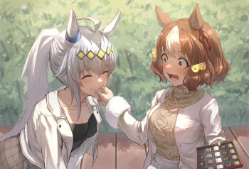 Rule 34 | 2girls, ahoge, alternate costume, animal ears, belno light (umamusume), beruu, blush, box, box of chocolates, breasts, brown hair, brown skirt, brown sweater, cardigan, cleavage, commentary request, ear ornament, fur-trimmed sleeves, fur trim, grey hair, hair ornament, highres, horse ears, horse girl, horse tail, jacket, large breasts, long hair, looking at another, medium breasts, multicolored hair, multiple girls, oguri cap (umamusume), open cardigan, open clothes, open jacket, open mouth, outdoors, ponytail, short hair, skirt, smile, streaked hair, sweat, sweater, tail, umamusume, umamusume: cinderella gray, white cardigan, white hair, white jacket, white streaks, wide-eyed