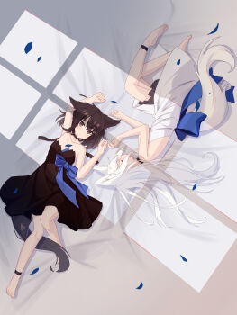 2girls absurdres animal_ear_fluff animal_ears ankle_strap arm_up armpits barefoot between_legs black_choker black_dress blue_bow bow brown_eyes brown_hair choker closed_eyes closed_mouth collarbone commentary_request day dress dress_bow feet fetal_position fox_ears fox_girl fox_tail from_above hair_between_eyes hand_up highres indoors knee_up knees_together_feet_apart long_hair looking_at_viewer lying medium_dress multiple_girls night_knife on_back on_side original short_hair sidelocks sleeping soles tail tail_between_legs toes wavy_hair white_dress white_hair window_shadow