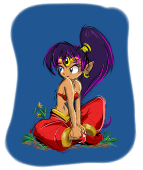 Rule 34 | 1girl, arabian clothes, bandeau, blue eyes, breasts, dark-skinned female, dark skin, earrings, female focus, flower, forehead jewel, harem pants, hoop earrings, indian style, jewelry, long hair, lots of jewelry, matt bozon, pants, pointy ears, pointy shoes, ponytail, purple hair, shantae, shantae (series), shoes, sitting, small breasts, solo, tiara, very long hair, wayforward