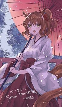 1girl animal_ears aston_machan_(umamusume) blush breasts brown_hair commentary_request commission green_eyes hakama hakama_skirt highres holding holding_umbrella horse_ears horse_girl horse_tail japanese_clothes kimono long_sleeves looking_at_viewer medium_breasts medium_hair miko open_mouth petals ponytail red_hakama riiko25chan skeb_commission skirt smile solo tail umamusume umbrella white_kimono wide_sleeves